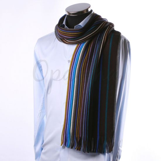 Echarpe marron à rayures multicolores