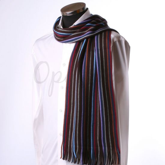 Echarpe marron à rayures multicolores